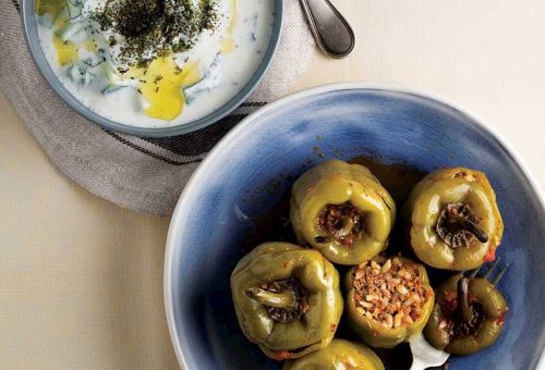 NANELİ KURU CACIK