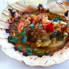 Scallops With Tomatoes & Breadcrumbs
