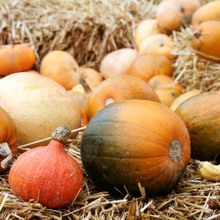 Featured Ingredient - Winter Squash