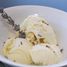 Lemon Lavender Gelato
