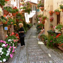 Friday Photos From Umbria ~ June 5th, 2015